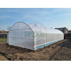 Solar legume 5m x 12m cu aerisire laterala
