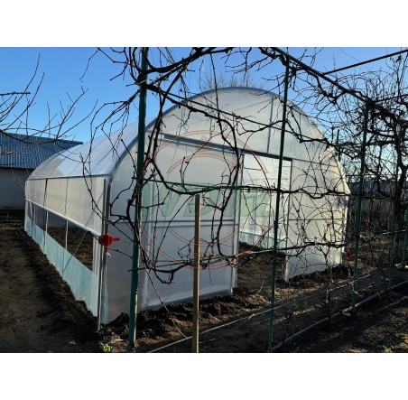 Solar legume 5m x 8m cu aerisire laterala